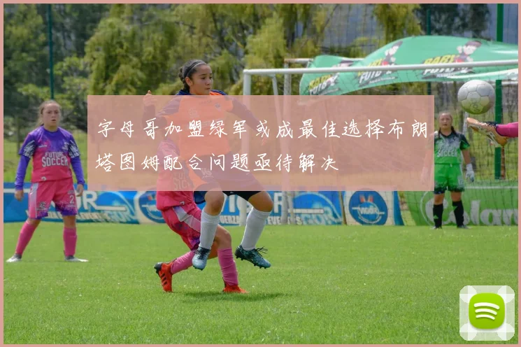 字母哥加盟绿军或成最佳选择布朗塔图姆配合问题亟待解决